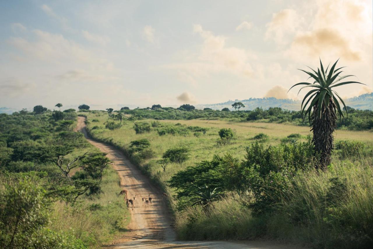 Tala Collection Game Reserve Silverton Exterior foto